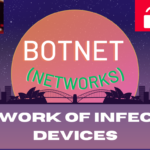 Understanding Botnets: Risks and Protections on Cybersecurity